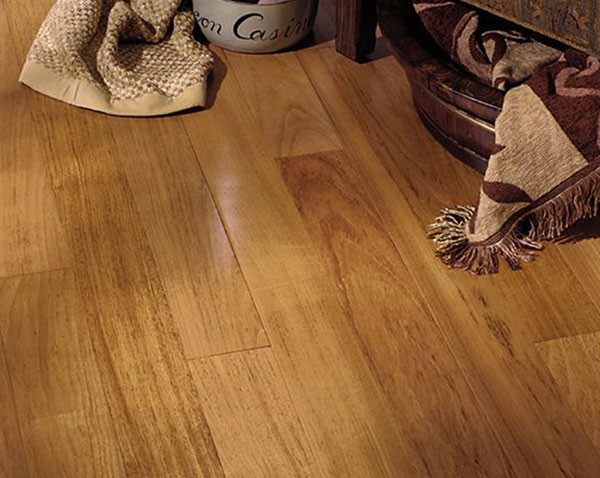 Are-wood-floors-for-you